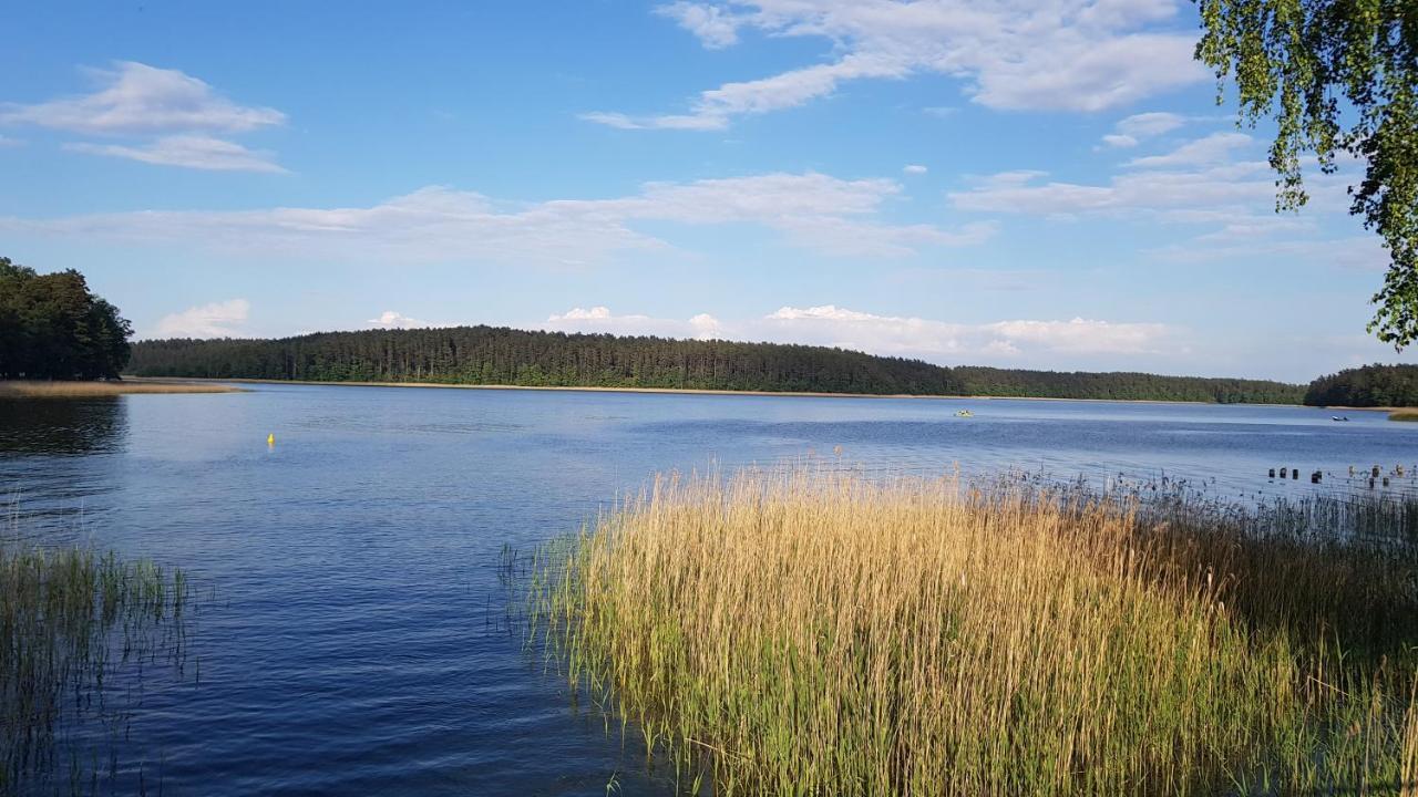 Domek Mazury - Jezioro 奥日什 外观 照片